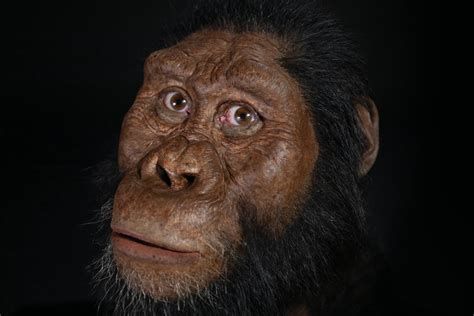 oldest human ancestor remains found.